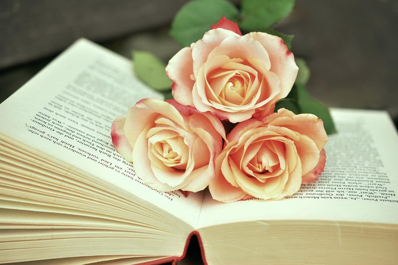 Book Reading Fiction Literature