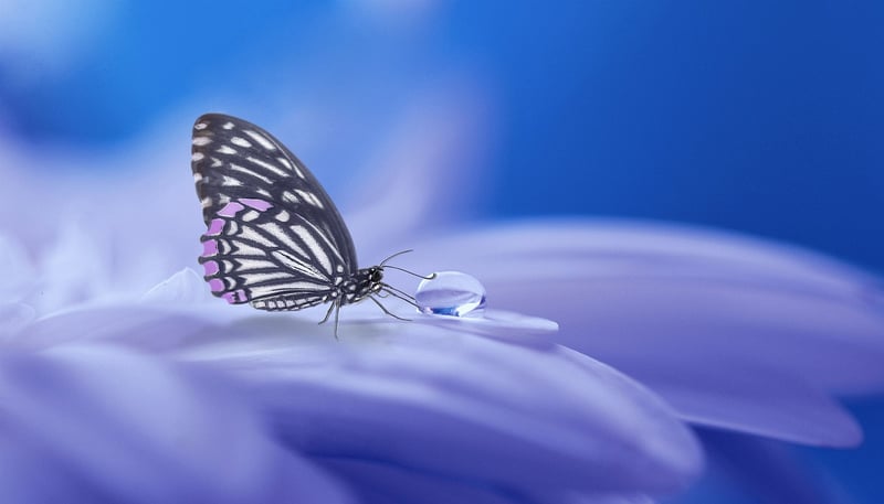 Temporal Tales Image