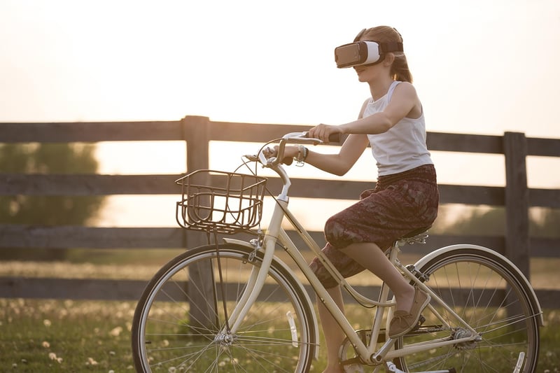 The Oasis VR World